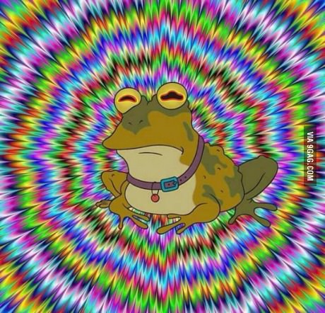 hail hypnotoad.jpg