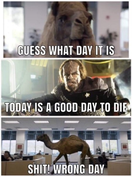 190278641_3986043924812873_6176762194909745784_n.jpg 190278641_3986043924812873_6176762194909745784_n.jpg