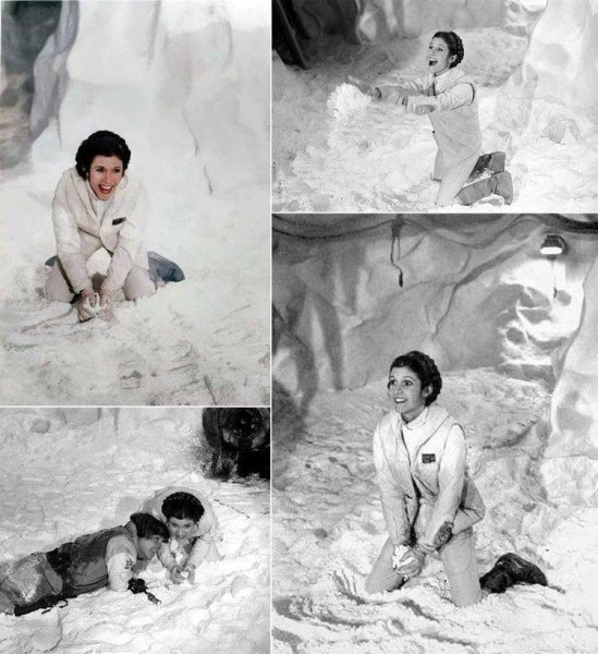 283629617_5643475862350763_6044370265151413087_n.jpg 283629617_5643475862350763_6044370265151413087_n.jpg