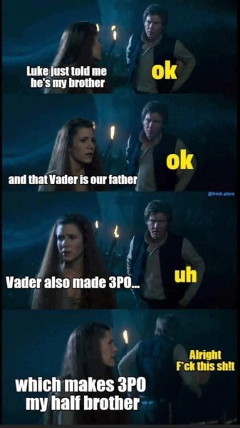 283815414_3230335690522113_6238687285317786611_n.jpg 283815414_3230335690522113_6238687285317786611_n.jpg