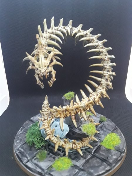 20220529_113756.jpg 20220529_113756.jpg