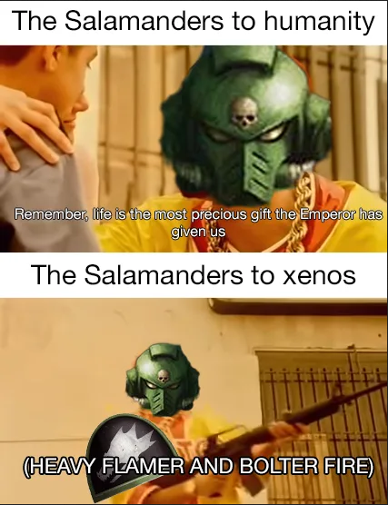 salamanders relations.png