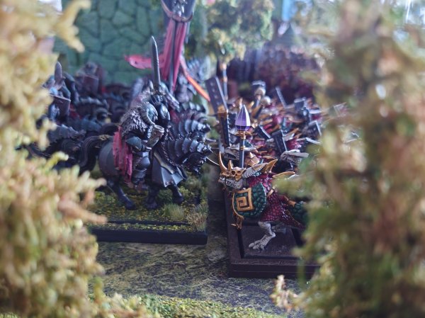 DSC_1676~5.JPG DSC_1676~5.JPG