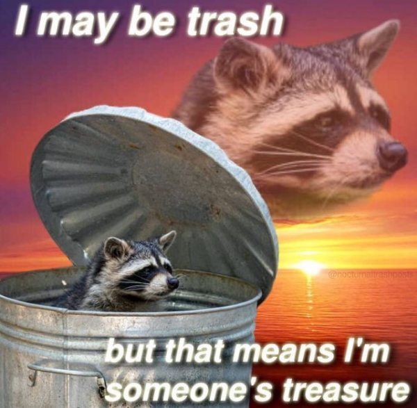 racoon trash treasure.png