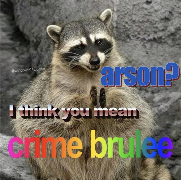 raccoon arson.png