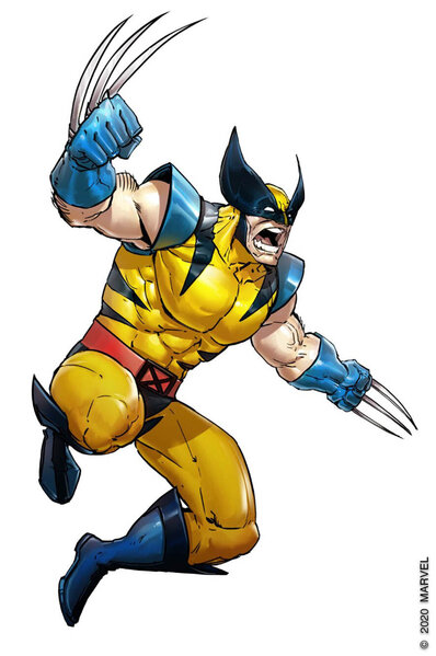 Wolverine+LEGAL.jpg