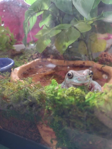 upload_2022-6-23_14-33-52.png upload_2022-6-23_14-33-52.png