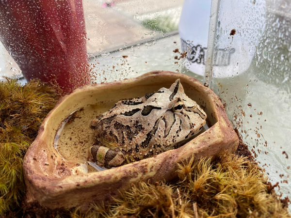 upload_2022-6-23_14-34-6.png upload_2022-6-23_14-34-6.png