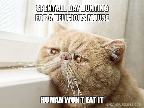 delicious-mouse.jpg