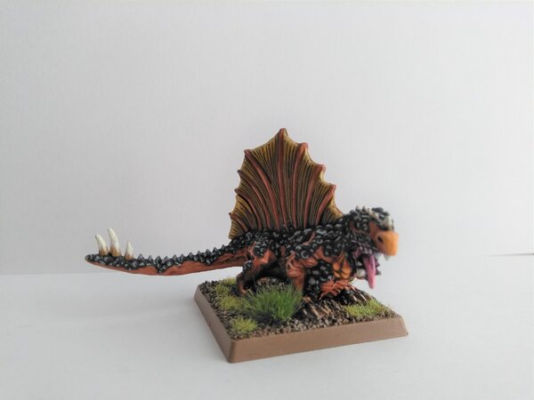 Salamander 1.jpg