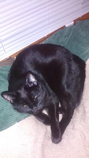 IMG_20150122_212658377.jpg IMG_20150122_212658377.jpg