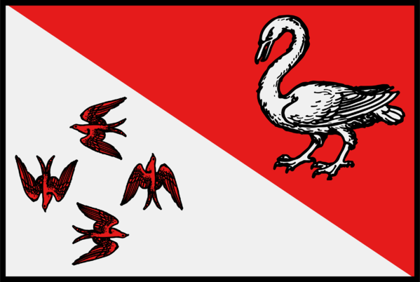 gules a swan argent, per bend argent a four martlets chasing gules.png