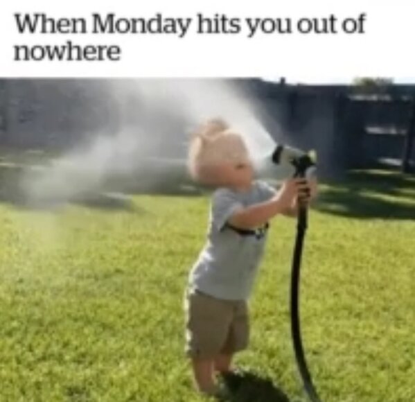 Screenshot_20220811-182611_Signal.jpg Screenshot_20220811-182611_Signal.jpg