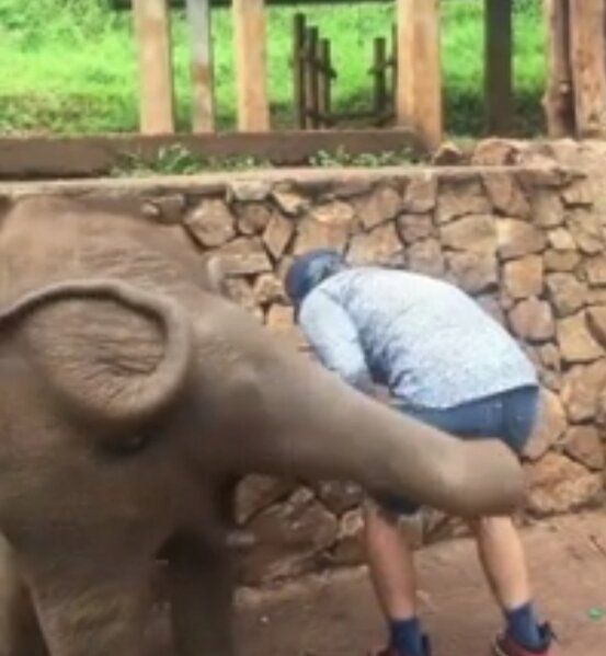 Screenshot_20220812-173146_Signal.jpg Screenshot_20220812-173146_Signal.jpg