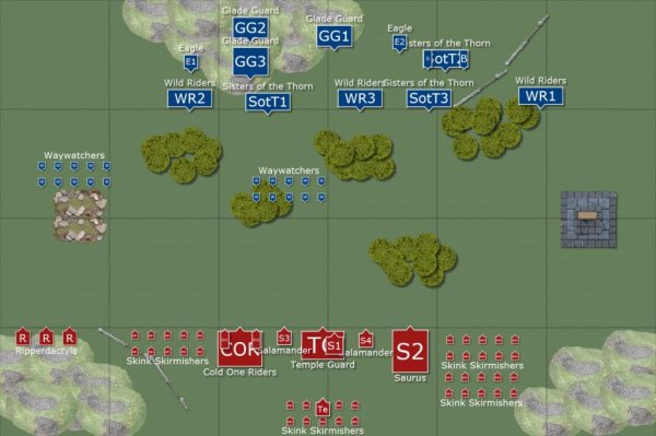 lizards_vs_wood_elves_6-14-14_mapEx01_zps7a52d8c4.jpg