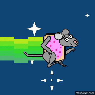 LBkjed.gif LBkjed.gif