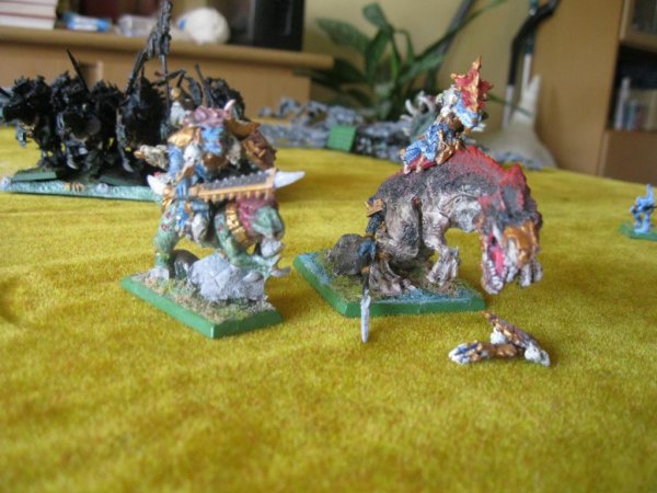 IMG_5211_zps240437fb.jpg IMG_5211_zps240437fb.jpg