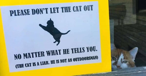 Family-Makes-A-Sign-To-Stop-Their-Sneaky-Cat-From-Going-Outside.jpg