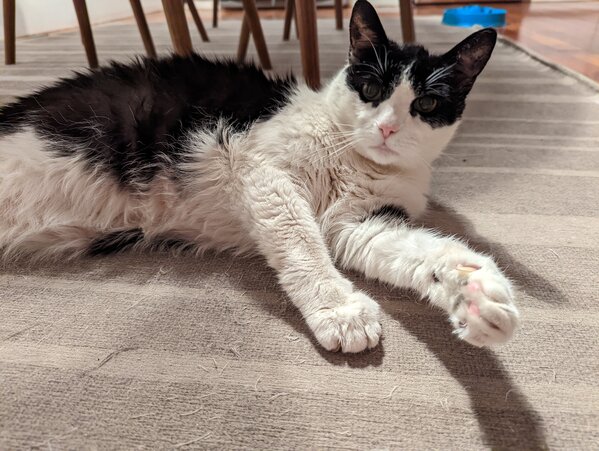 PXL_20220917_004921748.jpg PXL_20220917_004921748.jpg