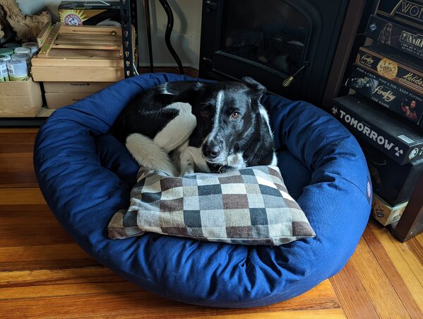 PXL_20220919_190053256.jpg PXL_20220919_190053256.jpg