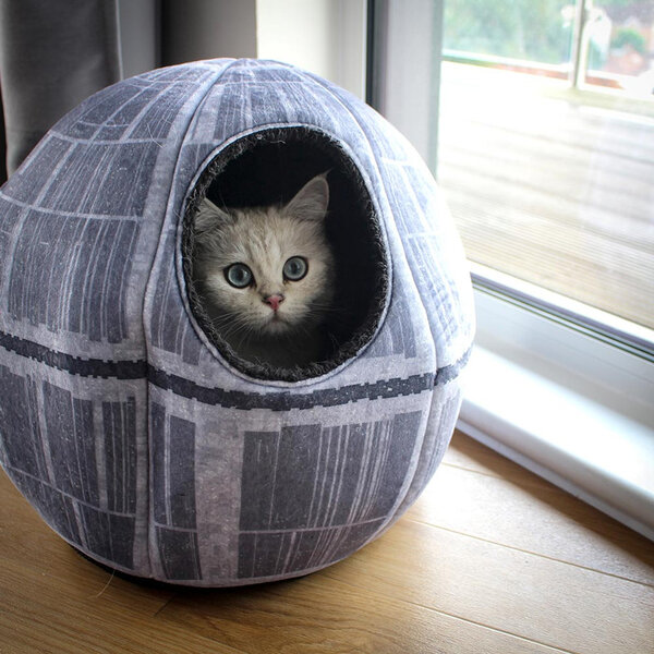 310568450_524273166175173_1648310401945100818_n.jpg 310568450_524273166175173_1648310401945100818_n.jpg