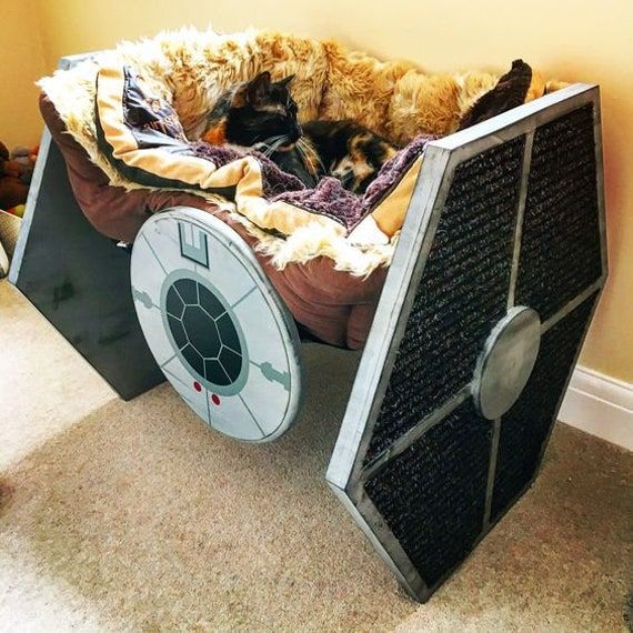 310635397_524273622841794_4605515322372879772_n.jpg 310635397_524273622841794_4605515322372879772_n.jpg