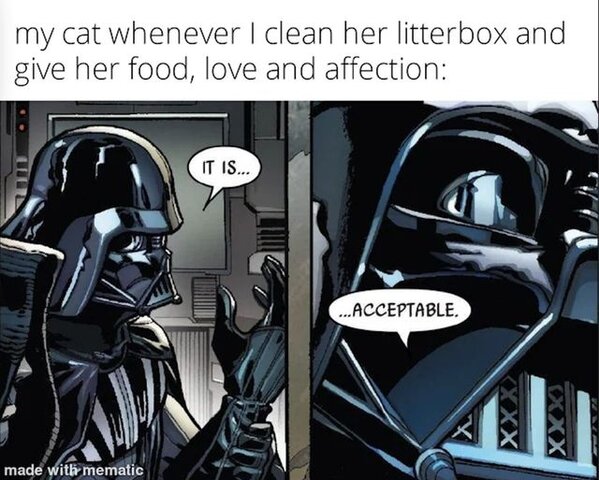 310746102_3357764351132676_5440896796603381051_n.jpg 310746102_3357764351132676_5440896796603381051_n.jpg