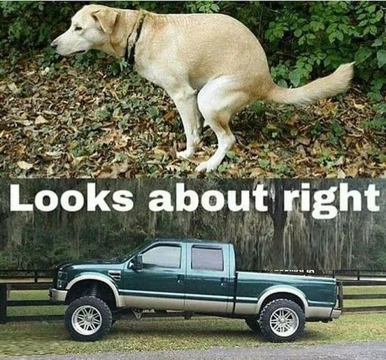 309633860_5668355276592491_4393861820981299221_n.jpg 309633860_5668355276592491_4393861820981299221_n.jpg