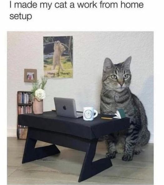 310237432_3353674238203695_1873408074241766040_n.jpg 310237432_3353674238203695_1873408074241766040_n.jpg