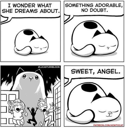 310094664_6052383158124391_7933167029433981400_n.jpg 310094664_6052383158124391_7933167029433981400_n.jpg