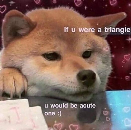 311279966_3364436840460768_2537171828495283583_n.jpg 311279966_3364436840460768_2537171828495283583_n.jpg