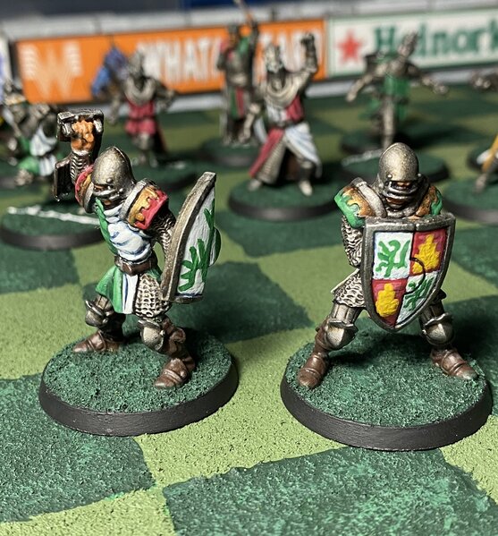 warden20221016_blitzbowl_bretonnians 18.jpg