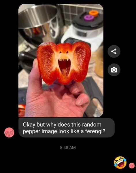 312259344_10158679895246034_5021568072975301179_n.jpg 312259344_10158679895246034_5021568072975301179_n.jpg