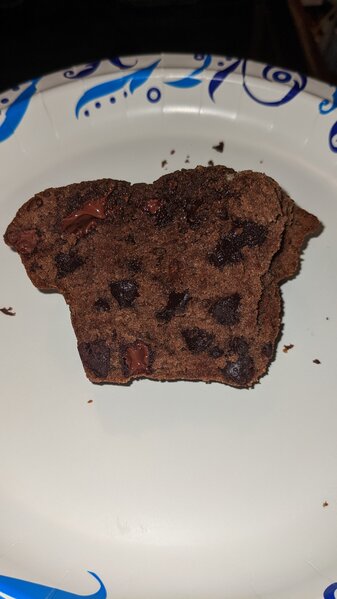 PXL_20221102_052123845.jpg PXL_20221102_052123845.jpg