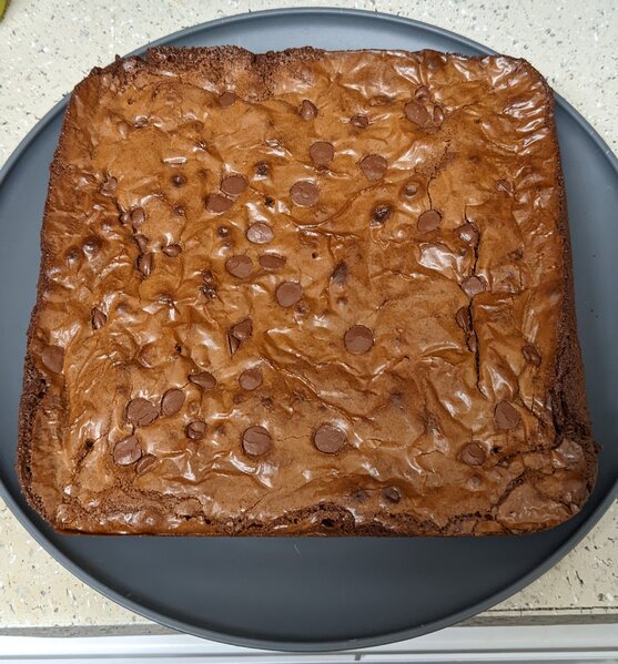 PXL_20221107_022446238~2.jpg PXL_20221107_022446238~2.jpg