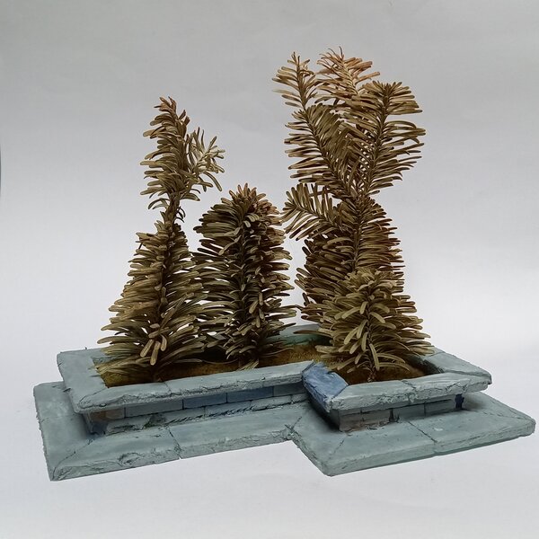 20221107_120636.jpg 20221107_120636.jpg