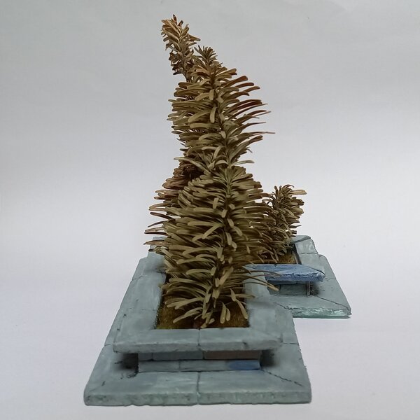 20221107_120644.jpg 20221107_120644.jpg