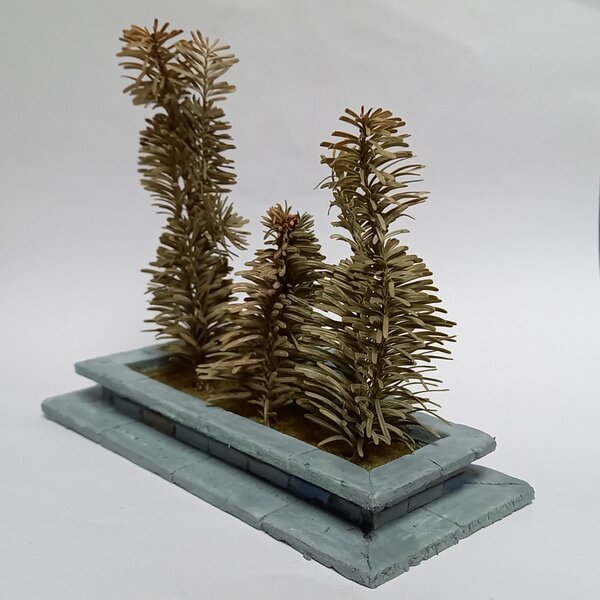 20221107_120650.jpg 20221107_120650.jpg