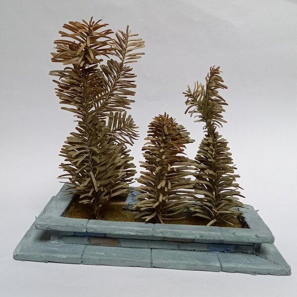 20221107_120655.jpg 20221107_120655.jpg