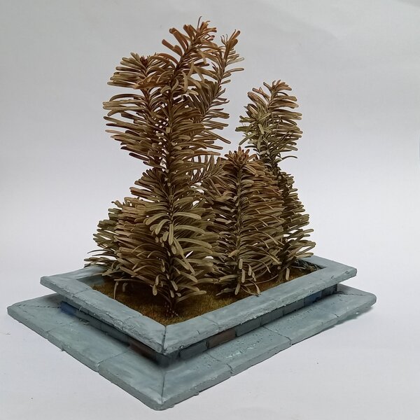 20221107_120659.jpg 20221107_120659.jpg