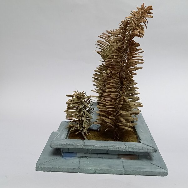 20221107_120704.jpg 20221107_120704.jpg