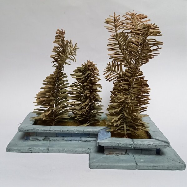 20221107_120712.jpg 20221107_120712.jpg