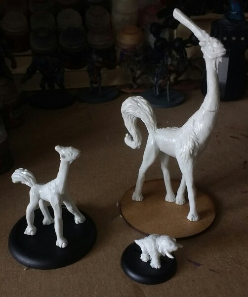 IMG_20221118_101623270~2.jpg IMG_20221118_101623270~2.jpg