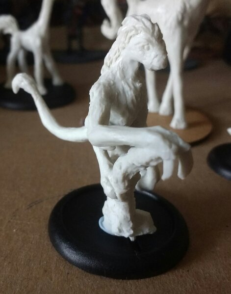 IMG_20221118_101750993~2.jpg IMG_20221118_101750993~2.jpg