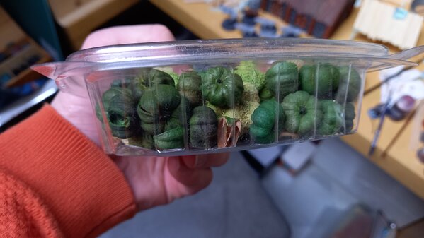 20221201_125336.jpg 20221201_125336.jpg