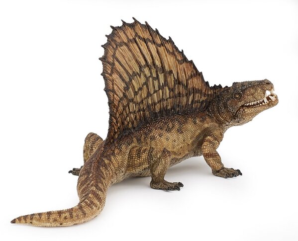 99454520_dimetrodon.jpeg 99454520_dimetrodon.jpeg