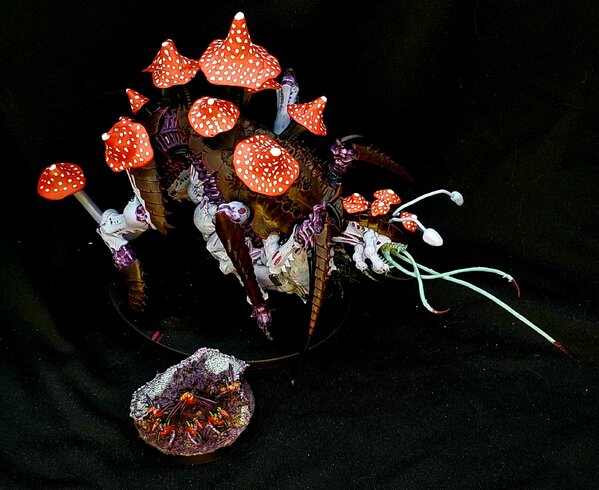 20230119_114431.jpg 20230119_114431.jpg