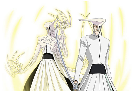 shawlong_qufang_11th_arrancar_by_bodskih_ddd0uop-350t.png