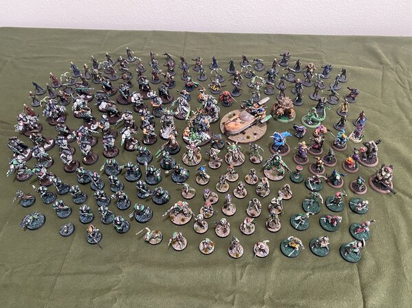 warden20230129_everything I planted in 2022 (1).jpg warden20230129_everything I planted in 2022 (1).jpg