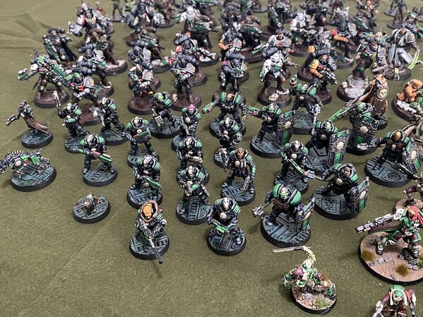 warden20230129_everything I planted in 2022 (4).jpg warden20230129_everything I planted in 2022 (4).jpg